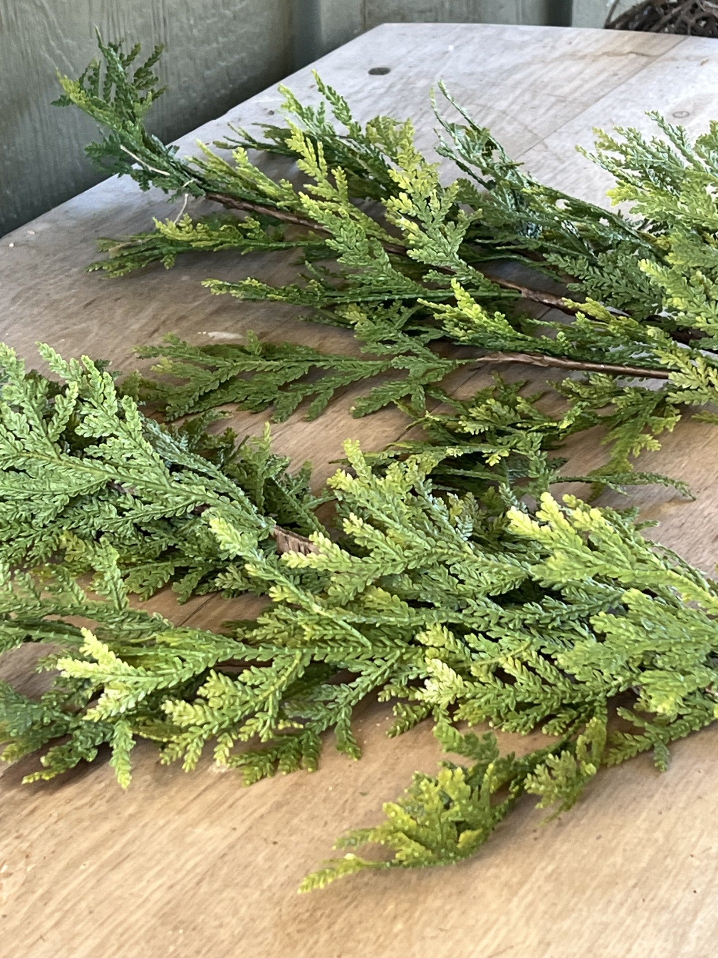 beautiful cedar spray branches--set of 2