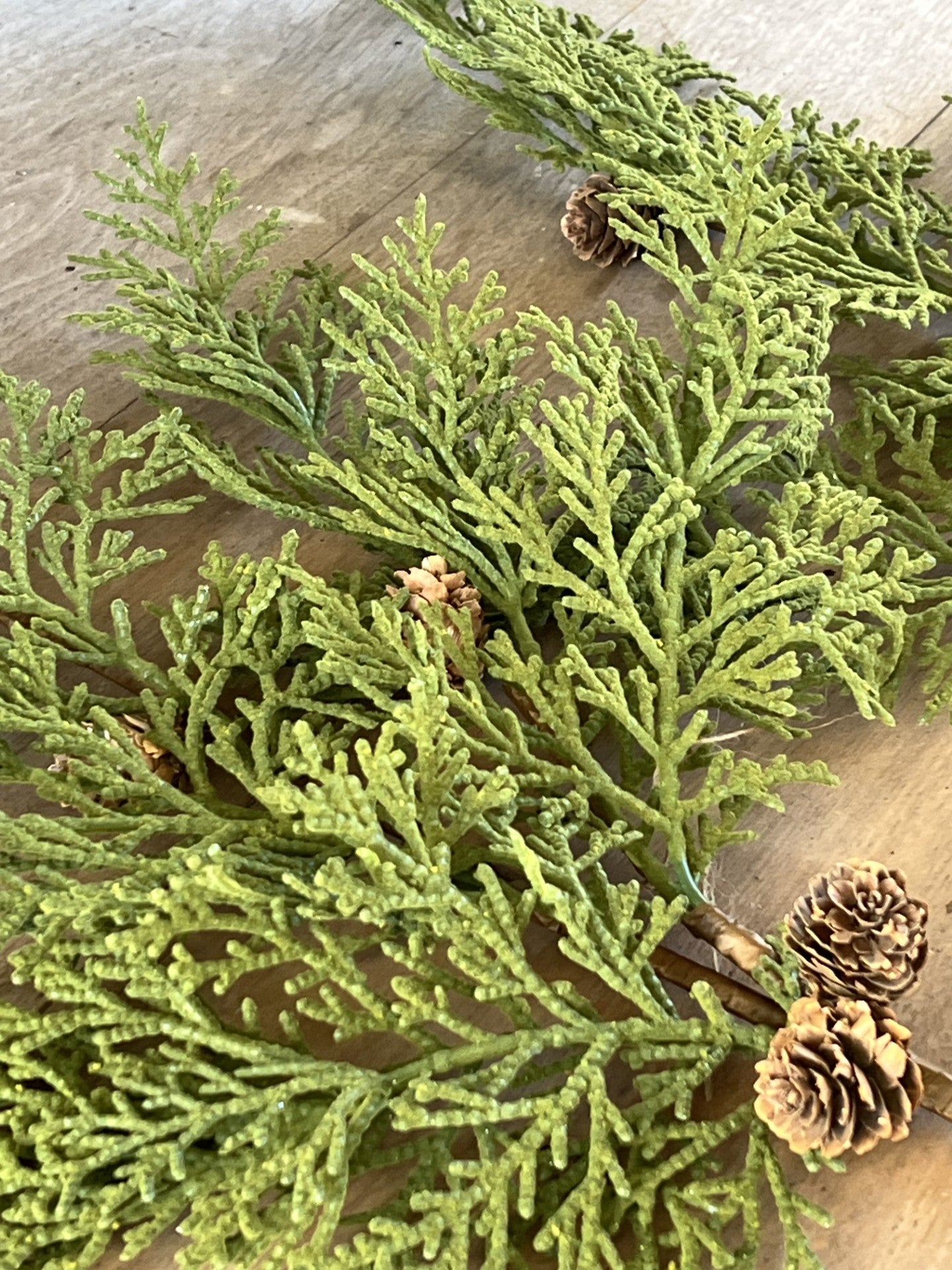 beautiful velvet like cedar stems with pinecones--set of 2