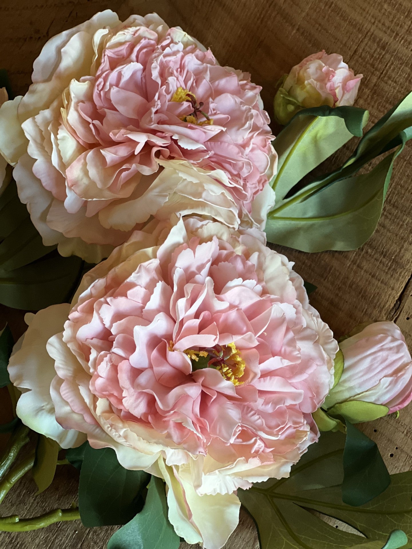 french peony blush-set of 3 stems