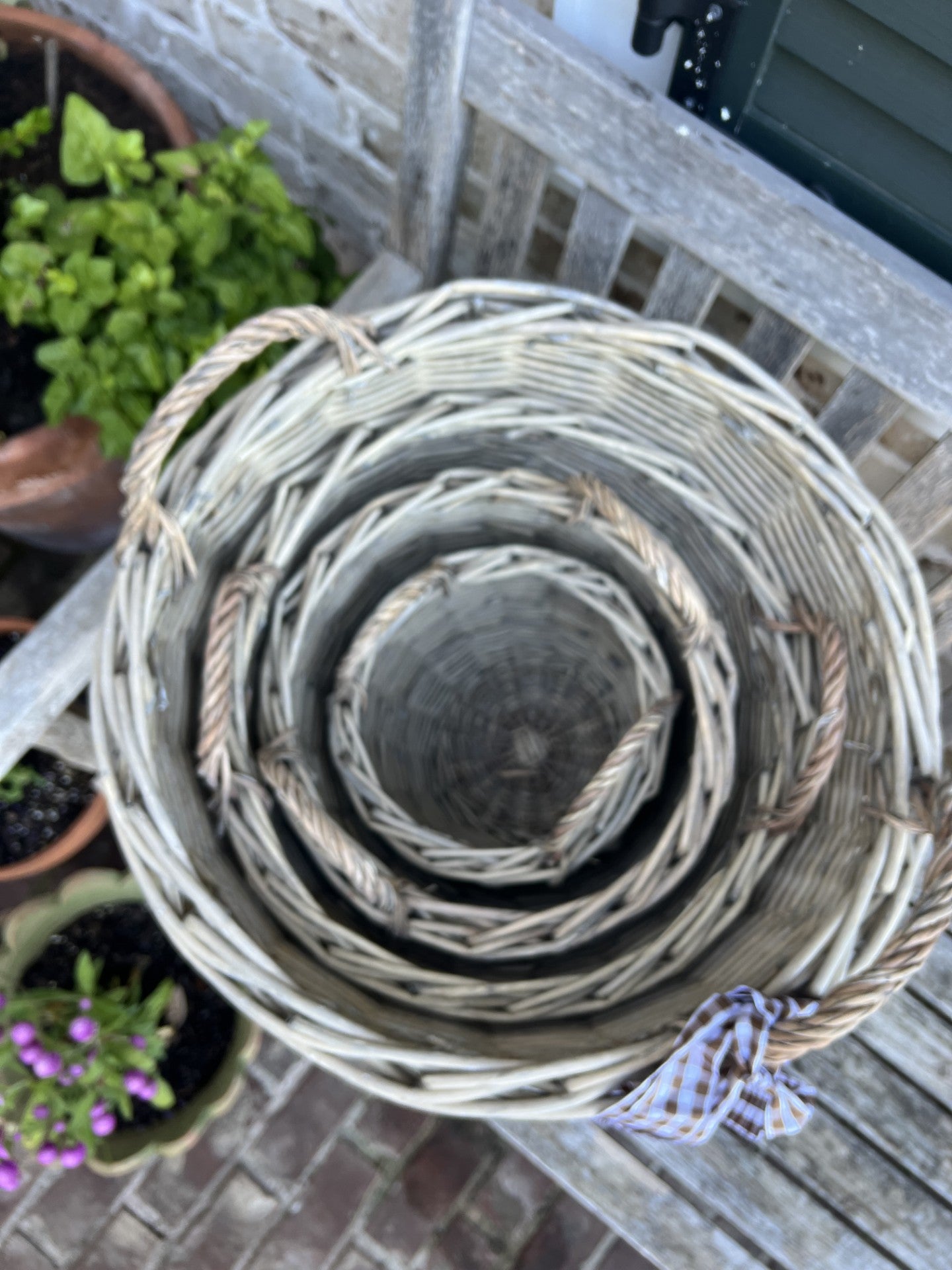 set of 4 stunning olive picking baskets