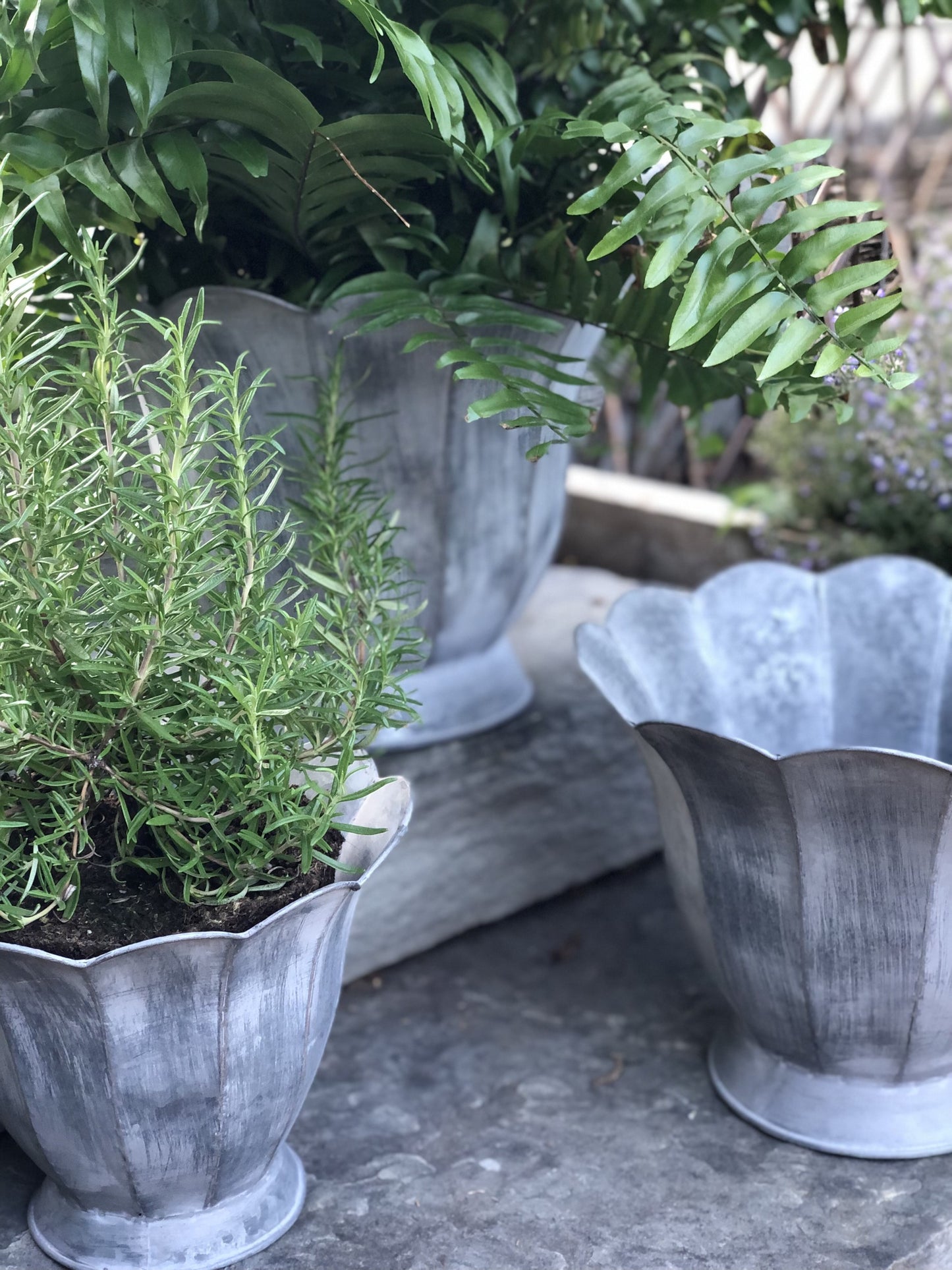 tulip set of 3 metal planters