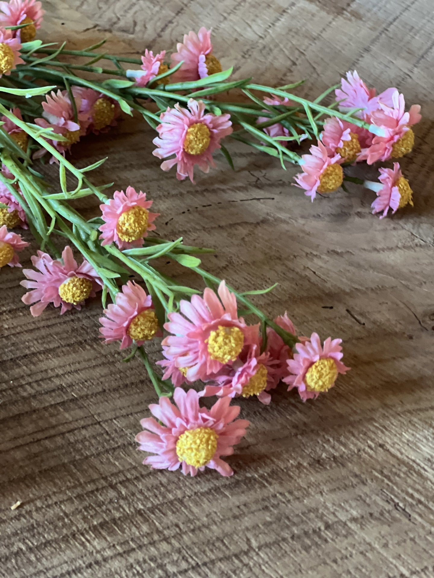 sale!! was $28 now $16!! sweetest aster in blush-set of 3 stems