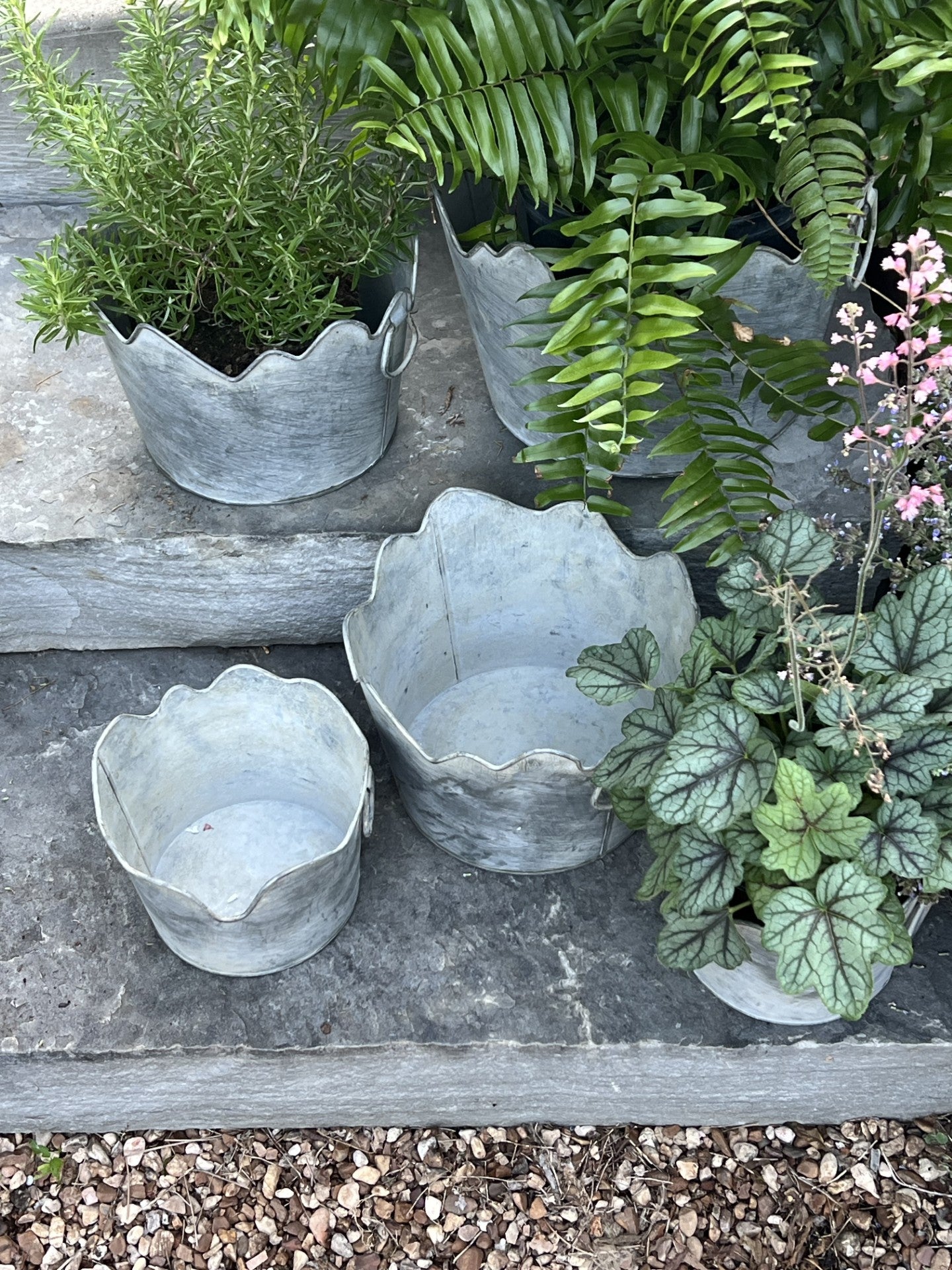 set of 3 cutest scallop metal planters