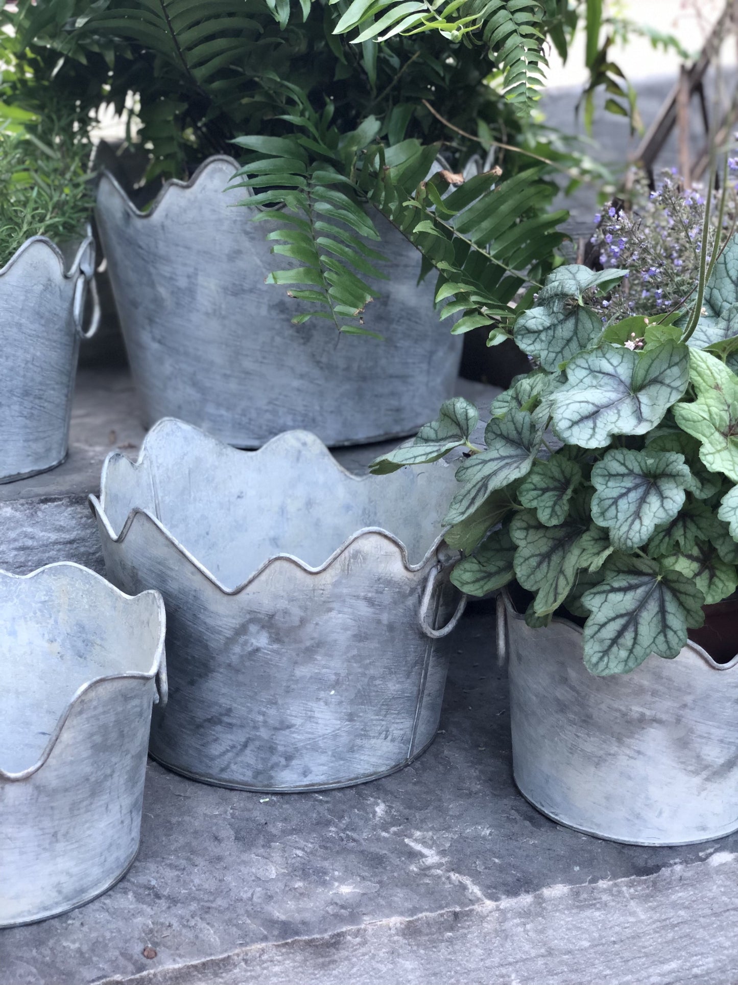 set of 3 cutest scallop metal planters