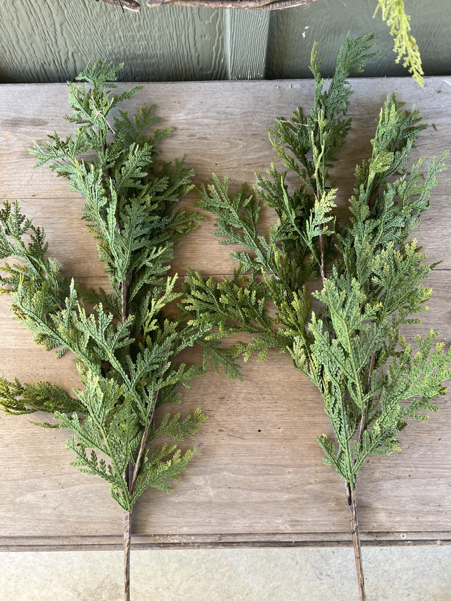 beautiful cedar spray branches--set of 2