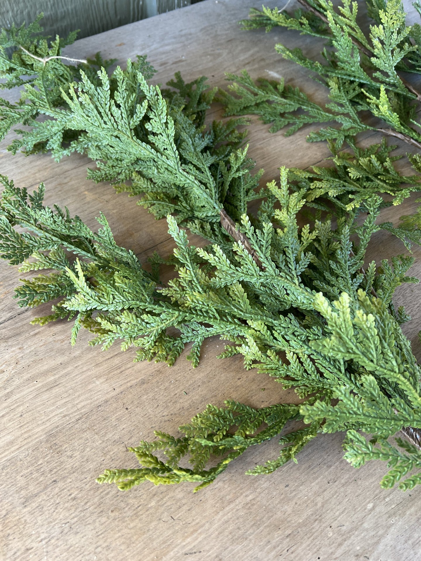 beautiful cedar spray branches--set of 2