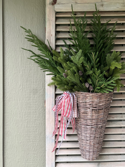 Christmas greenery--norfolk pine and pine with pinecones