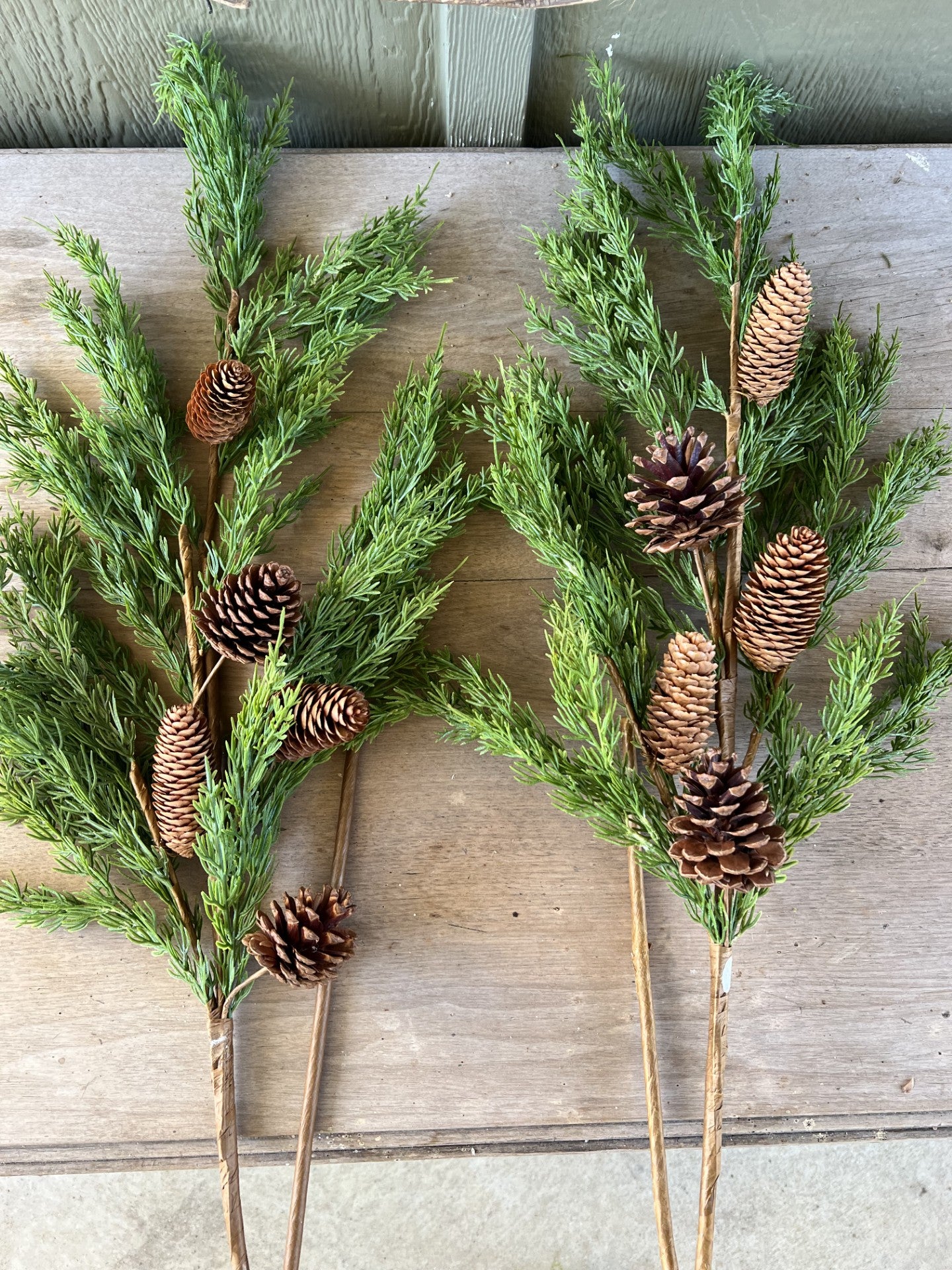 beautiful cedar branch with large pinecones