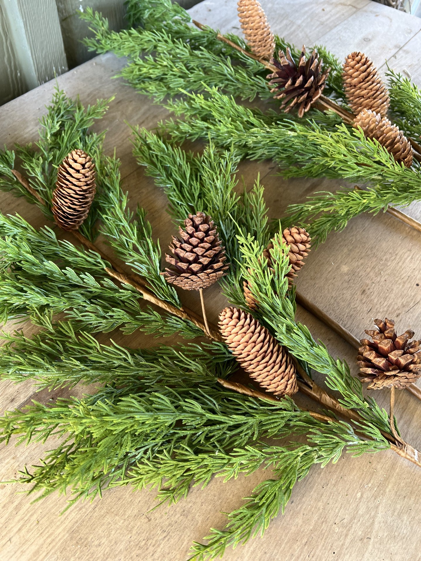 beautiful cedar branch with large pinecones