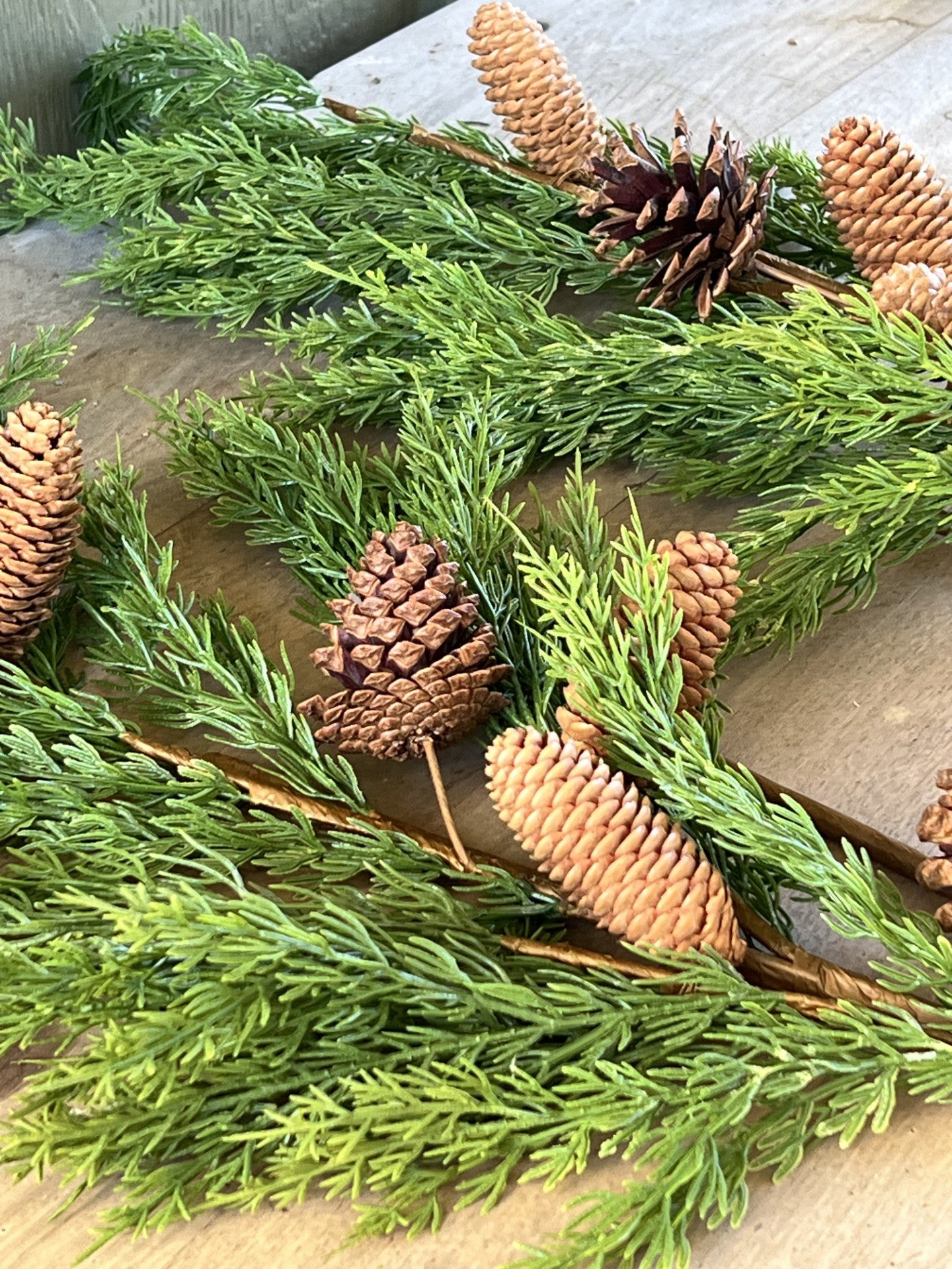 beautiful cedar branch with large pinecones
