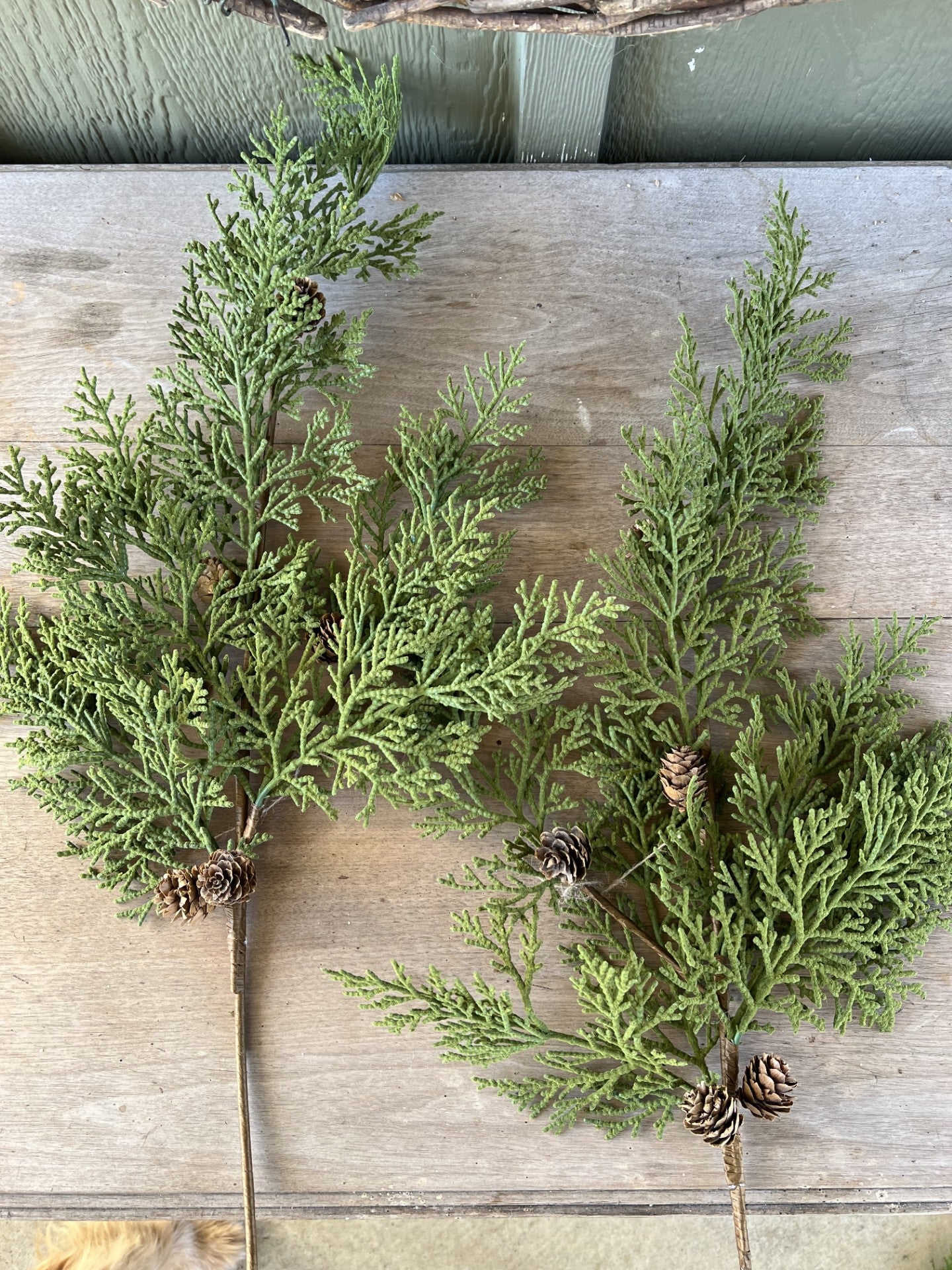 beautiful velvet like cedar stems with pinecones--set of 2