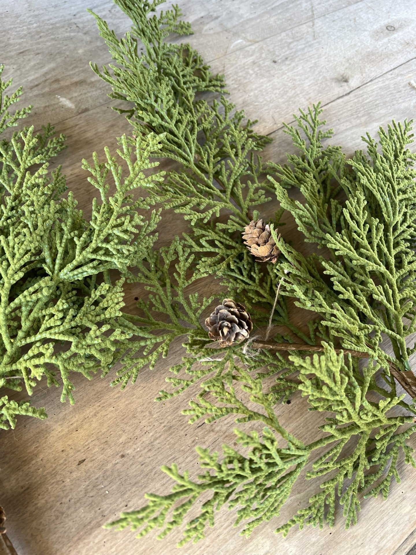beautiful velvet like cedar stems with pinecones--set of 2