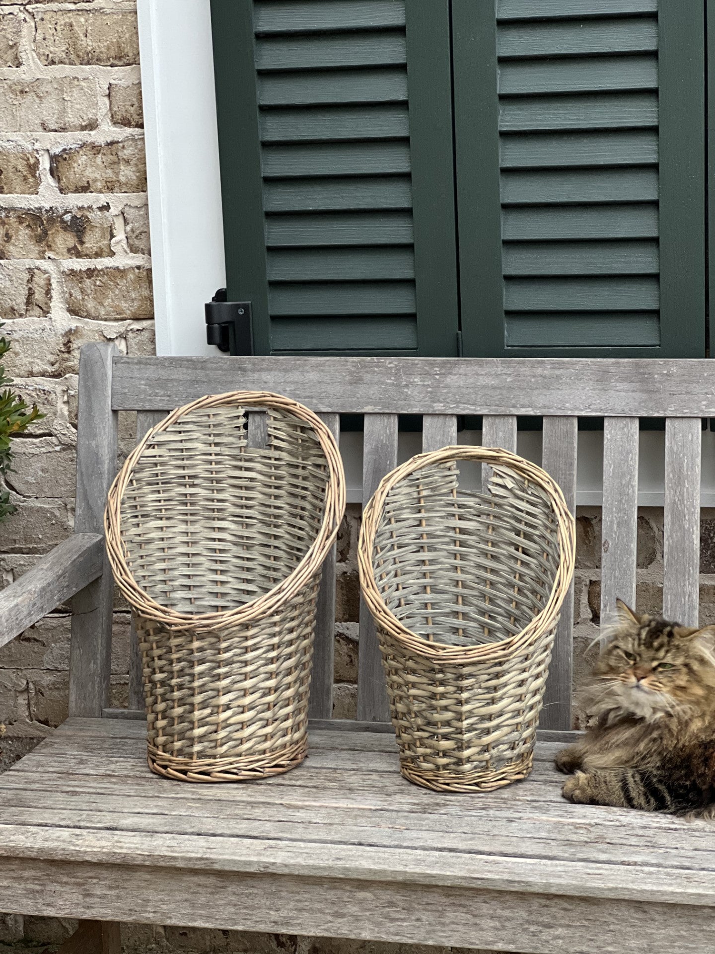 Grey hanging basket hotsell