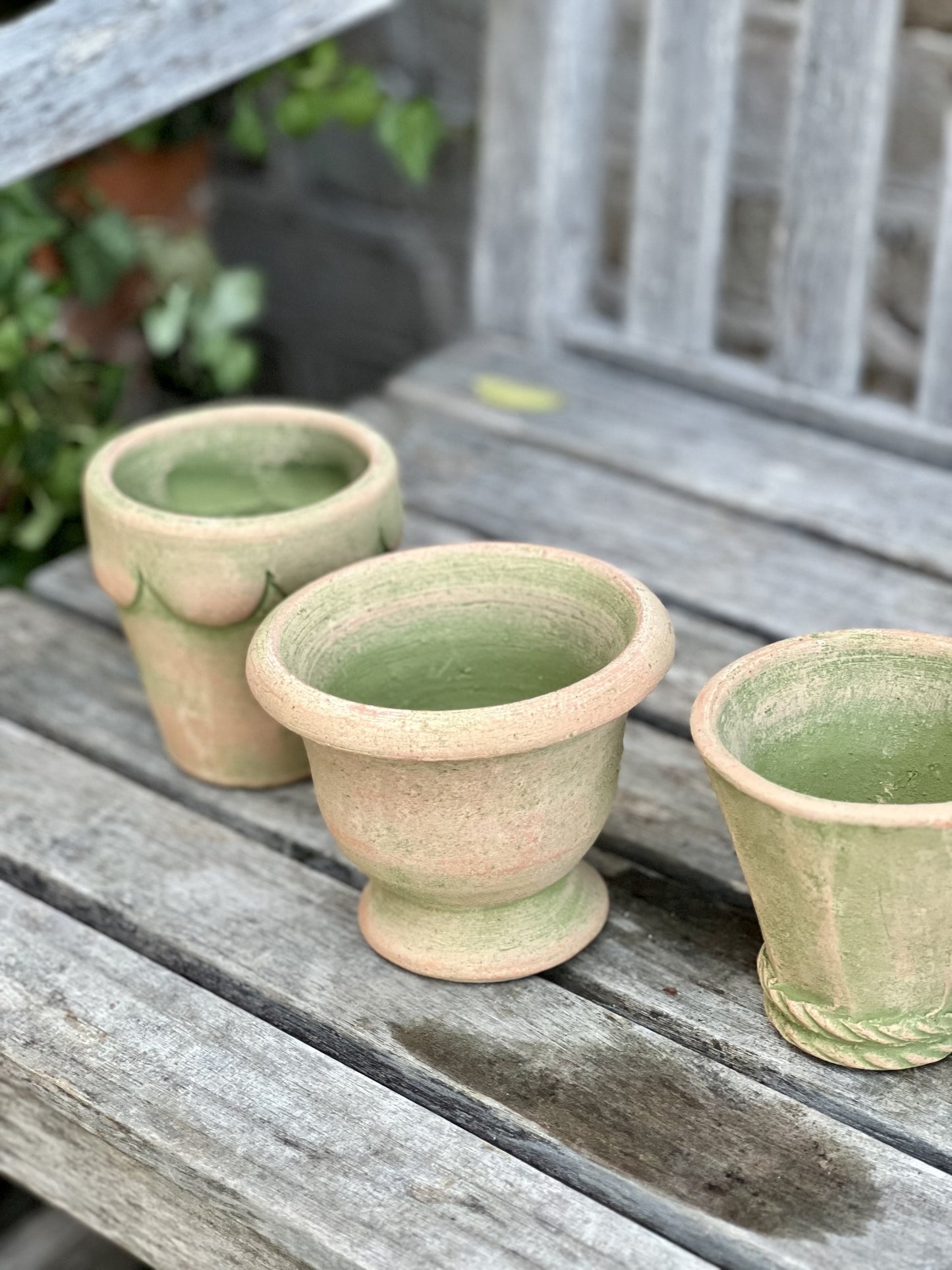 adorable herb pots set of 3 - set one
