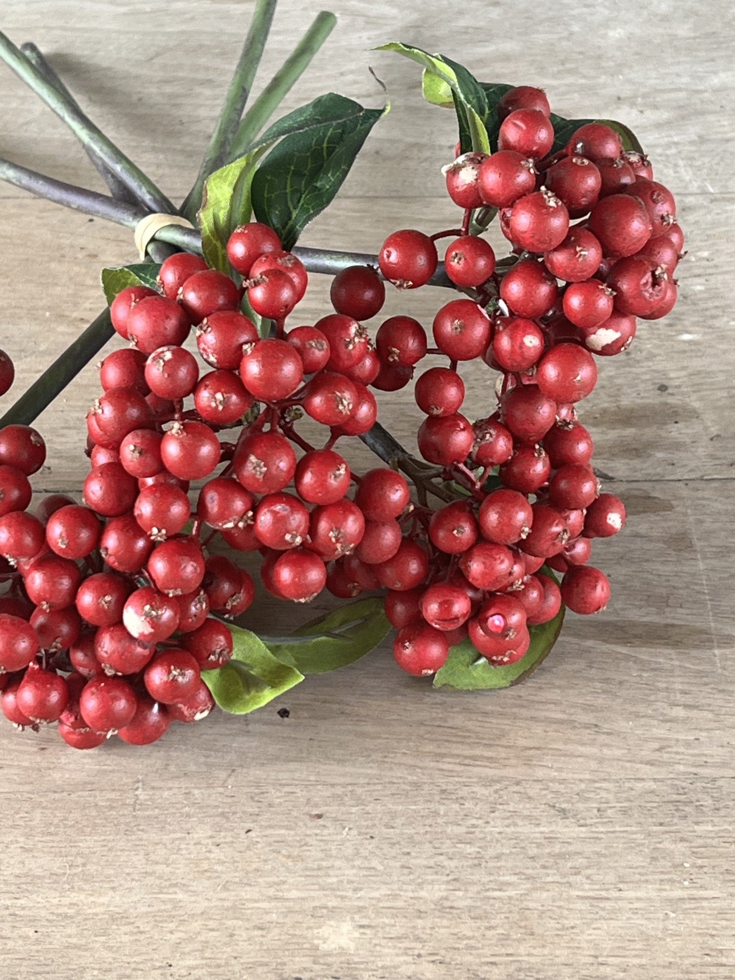 pretty red berry bundle