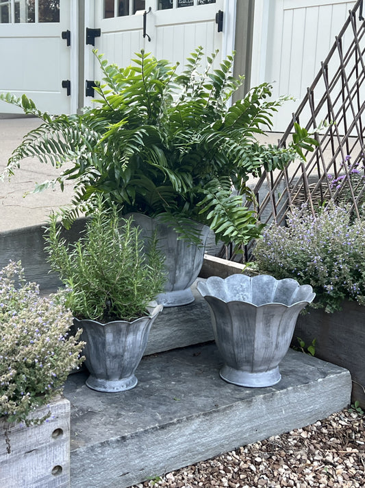 tulip set of 3 metal planters