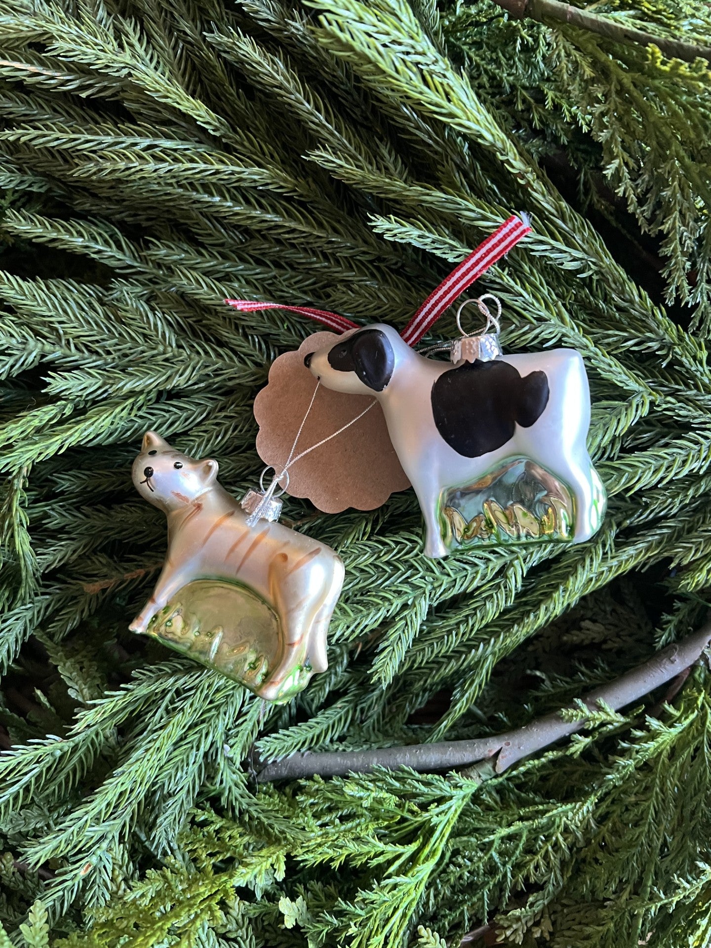 darling dog and cutest cat glass ornaments --set of 2
