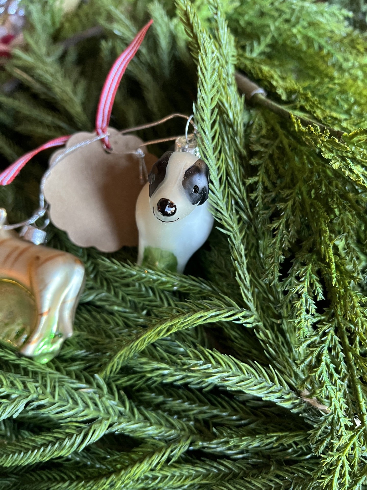 darling dog and cutest cat glass ornaments --set of 2