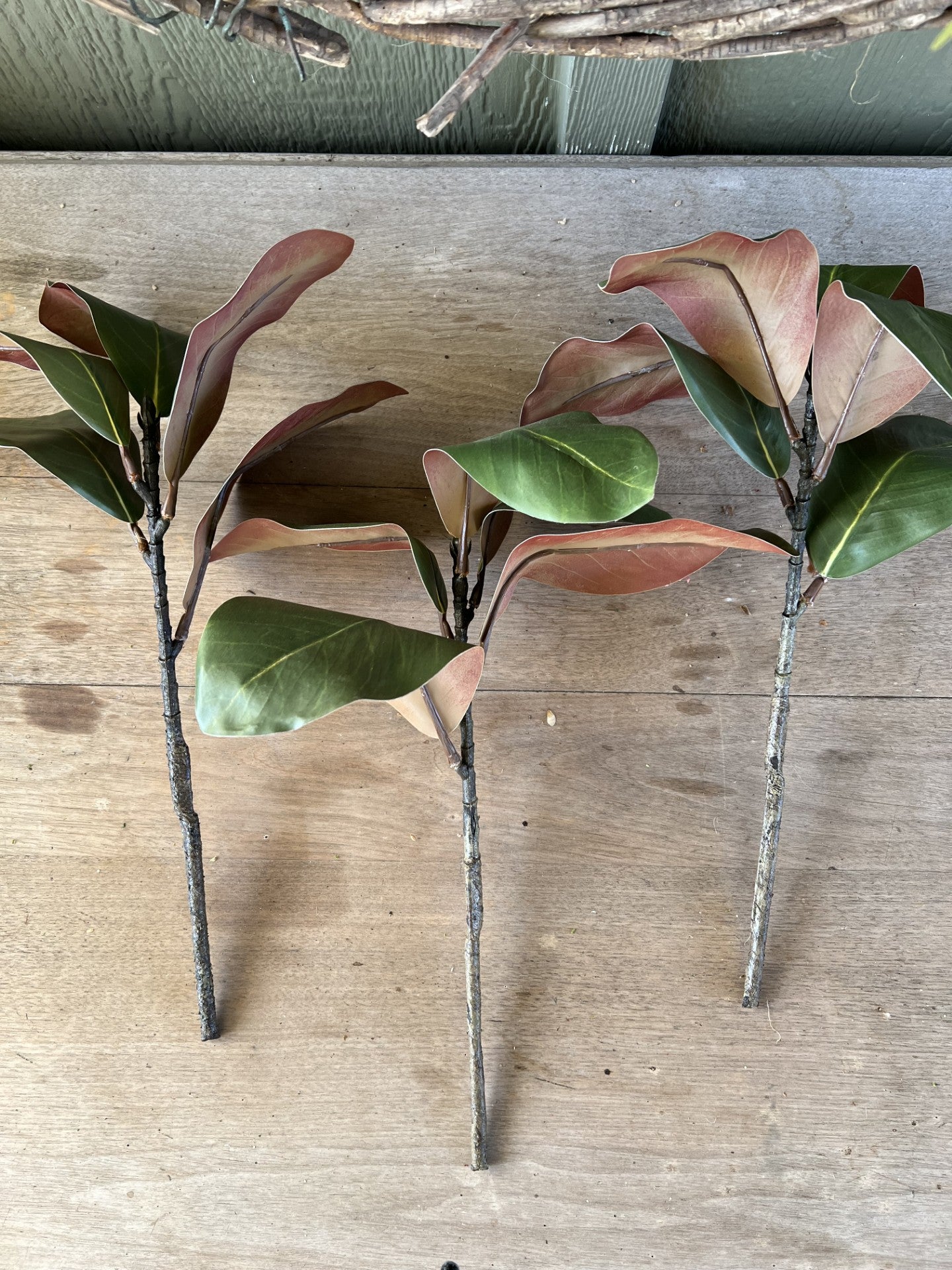 beautiful magnolia stems set of 3