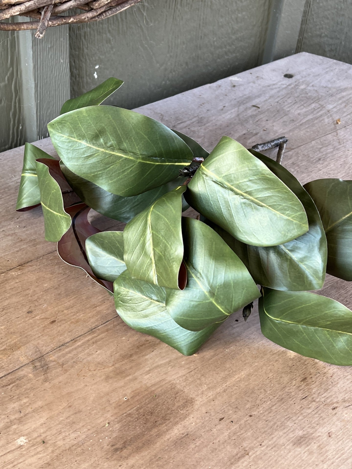 beautiful magnolia stems set of 3
