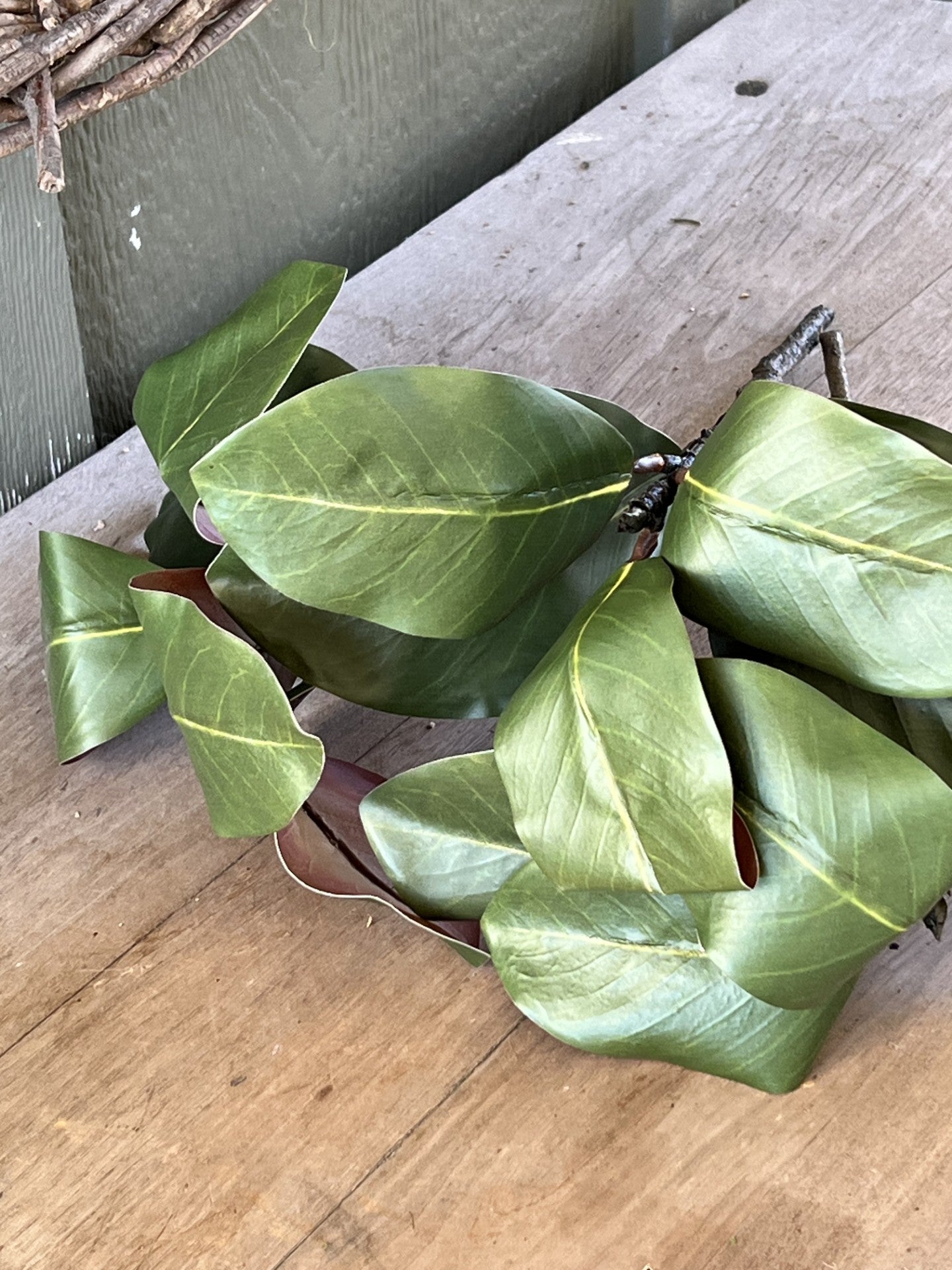 beautiful magnolia stems set of 3