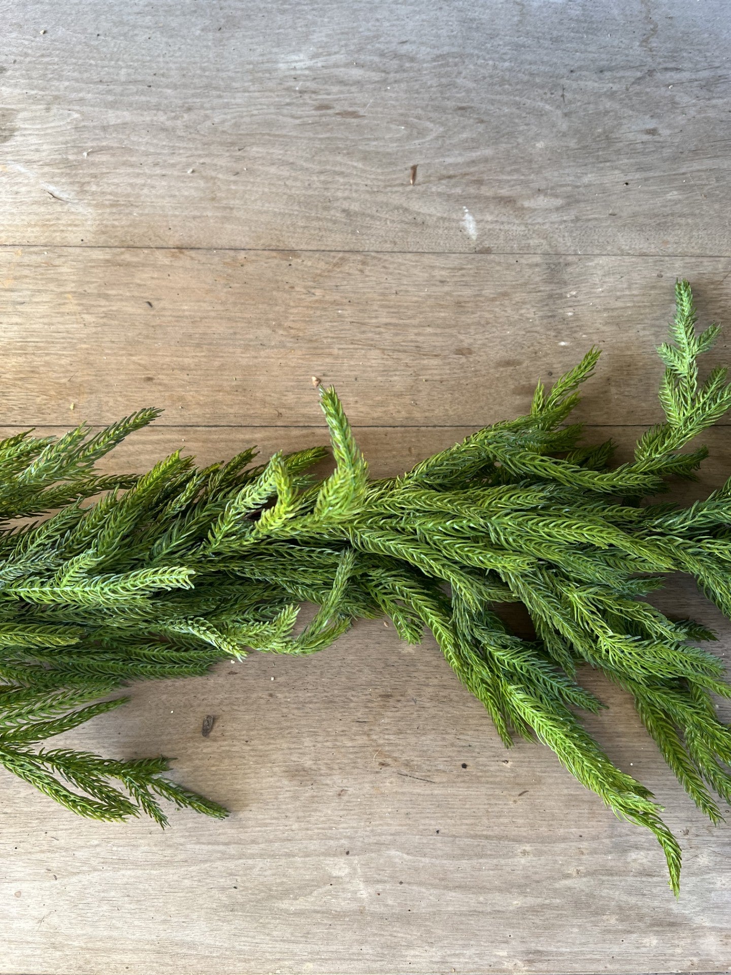 norfolk garland