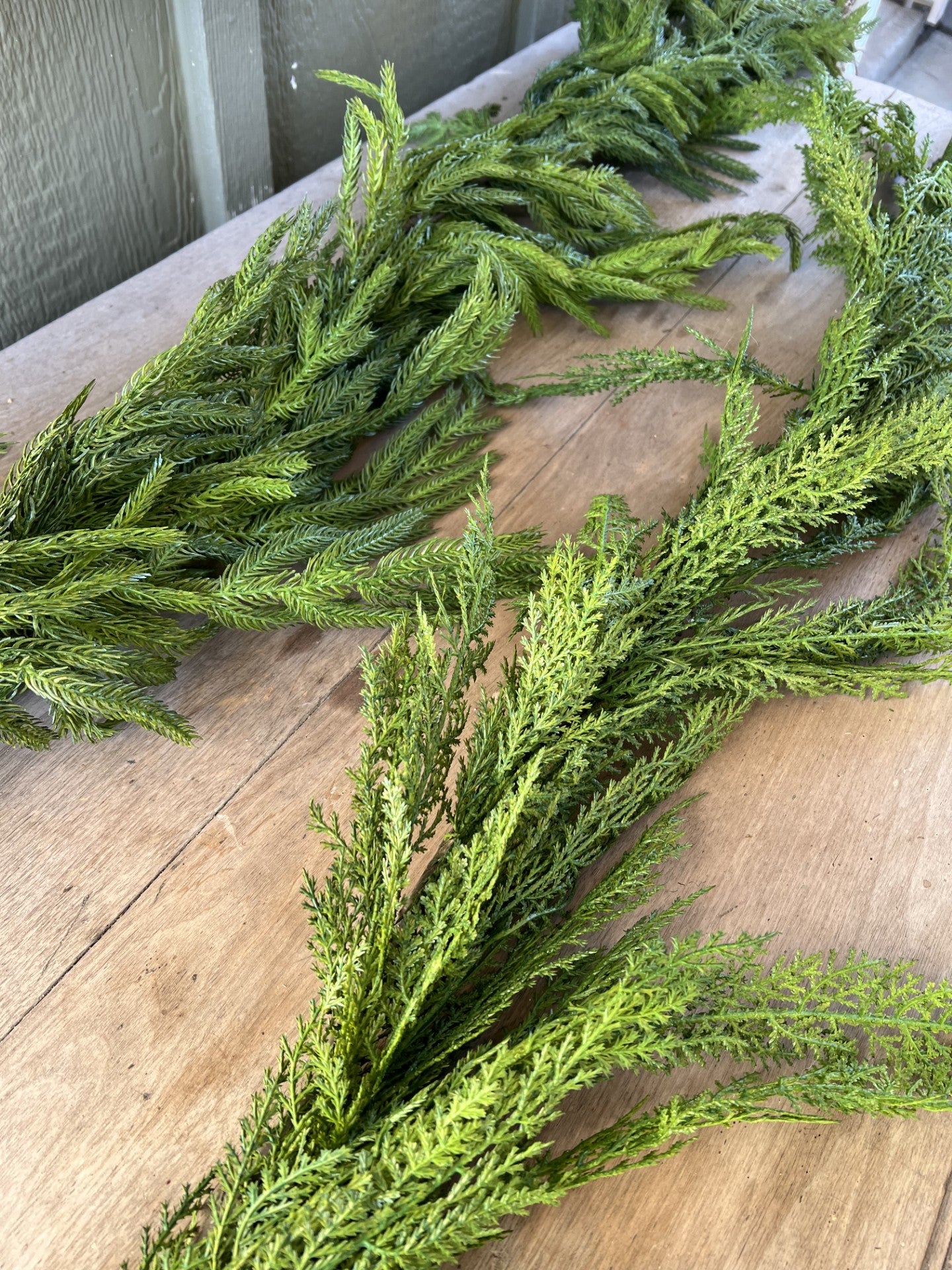 norfolk garland