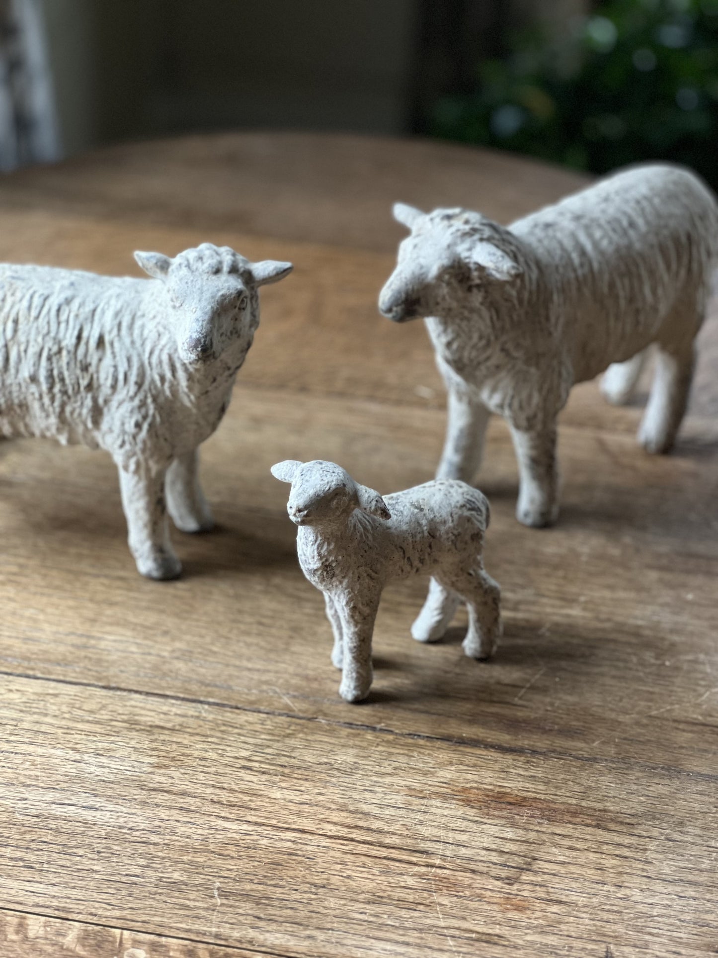 precious family flock of sheep-set of 3